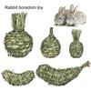 Pet Chew Toy Fruit Shape Natural Grass Relieve Boredom Rabbit Hamster Chinchilla Guinea Pig Squirrel Gerbil Teeth Cleaning Toy Pet Supplies