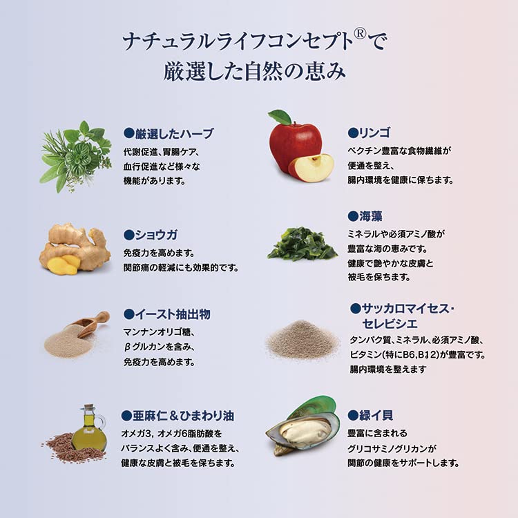 HAPPY CAT Желудок Кишечник Желудочно-кишечный тракт Все для кошек Взрослые и пожилые pH Человеческий Сделано в Cat Сухой и - Уход, Породы, Кошки, Контроль, Без глютена,