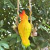 Resin Parrot Swing Figurine Outdoor Hanging Animal Sculpture Tropical Bird Swing Statue for Patio
