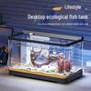 Transparent Ecological Fish Tank for Home or Balcony