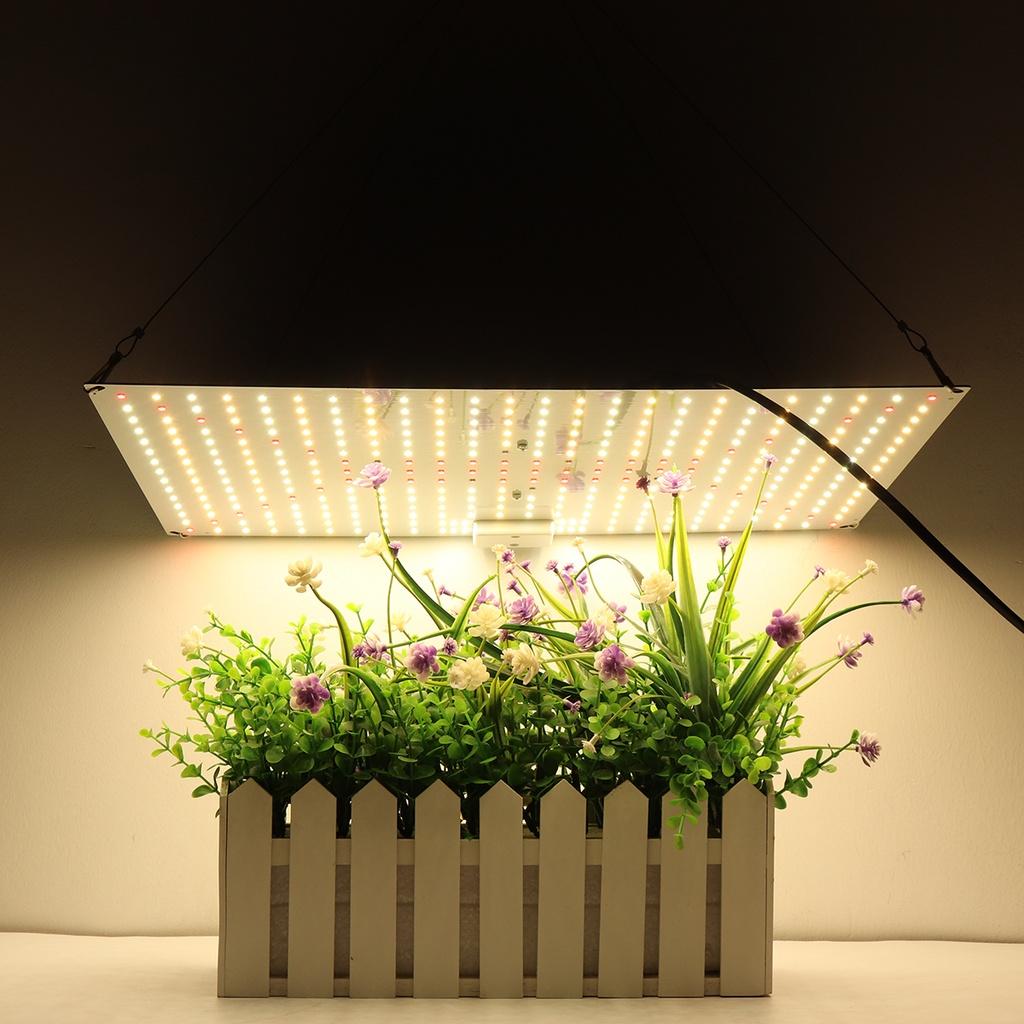 8000 Вт Светодиодная лампа полного спектра Ультратонкий светильник для выращивания Светодиодная лампа для растений Теплицы Комнатная фитолампа Гроутент 45*30 см