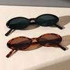 2PCS Plastic Small Frame Oval Classic Decorative Fashion Sunglasses For Outdoor Travel Driving Seaside Holidays