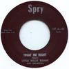 7-дюймовая пластинка LITTLE WILLIE EGANS - You Must Be Foolin' / Treat Me Righ SPRY107 Spry 2012 UK Rock