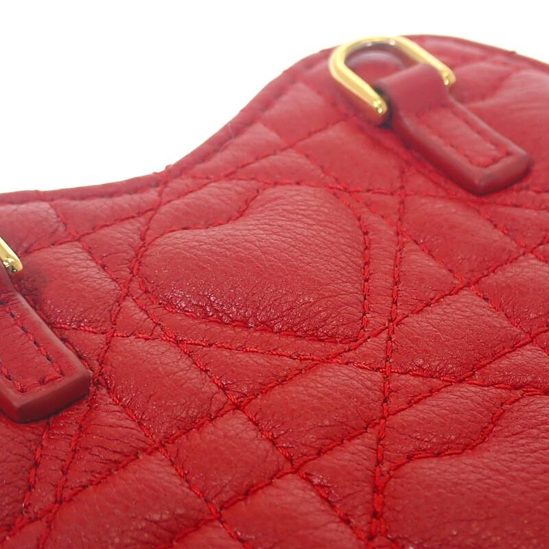 Dior S5097UNID_M61R Наплечная сумка Красная телячья кожа Женская