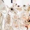 Halloween Skeleton Animal Decoration Creepy Cat/Dog/Bird/Rat/Goat Head Plastic Bones for Courtyard Graveyard Halloween Decor