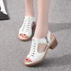 Luxury 2024 New Women's Square Heel Summer Shoes Leather Zip Gladiator Sandals Medium Heel Zip Platform Sandals High Heels 43