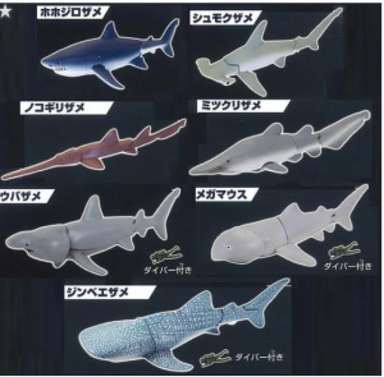 The Shark Gathering! Sharks TakaraTomyArts Capsule Toy