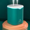 Double Spray Air Humidifier Air Purification 2L USB Fine Mist Humidifier for Home
