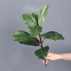 Plants Leaves Artificial Magnolia Leaves Floral Arrangement Faux Magnolia Branch  Wedding