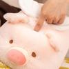Мягкая Плюшевая Кукла Ангел Свинья Лежащая Свинка Мягкая Игрушка Аниме Животное Плюшевая Подушка для Объятий Декор Комнаты Дети Малыш Рождество День Рождения Подарок