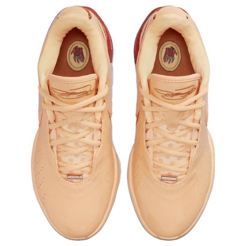 Nike Кроссовки LeBron 21 'Melon Tint' FV2345-800