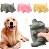 Training Teeth Cleaning Pets Accessories Dog Chew Toys Rubber Sound Pig Latex Pet Chew Toys Squeak
