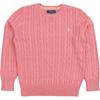Свитер Polo Косынка Ребристый воротник Детский Детский свитер 323702674-506