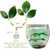 Fish Leaf Pad Fish Tank Accessories Aquarium Décor Simulating 3 pcs Adjustable Plastic Plants Betta Natural Habitat Playing Spawn Breed Rest Bed