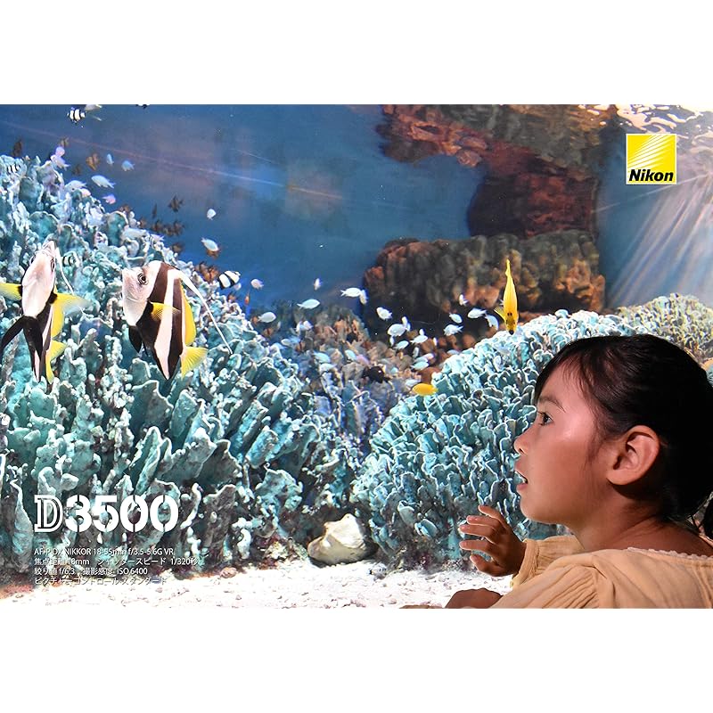 Стандартный зум-объектив Nikon AF-P DX NIKKOR 18-55mm f/3.5-5.6G VR Только для формата Nikon DX