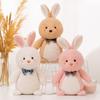 Cute Cartoon Rabbit Doll Wish Rabbit Plush Toy Japanese Cloth Claw Machine Gift Wedding Throw Sprinkler