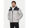Зимняя куртка 4F 4FWAW24TDJAM485, серая, стандартный крой