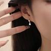 Temperament Small Earrings Design Sense Of Female Fashion Su Small Earrings Daily Simple Flash Diamond Star Ear Buckle Personality