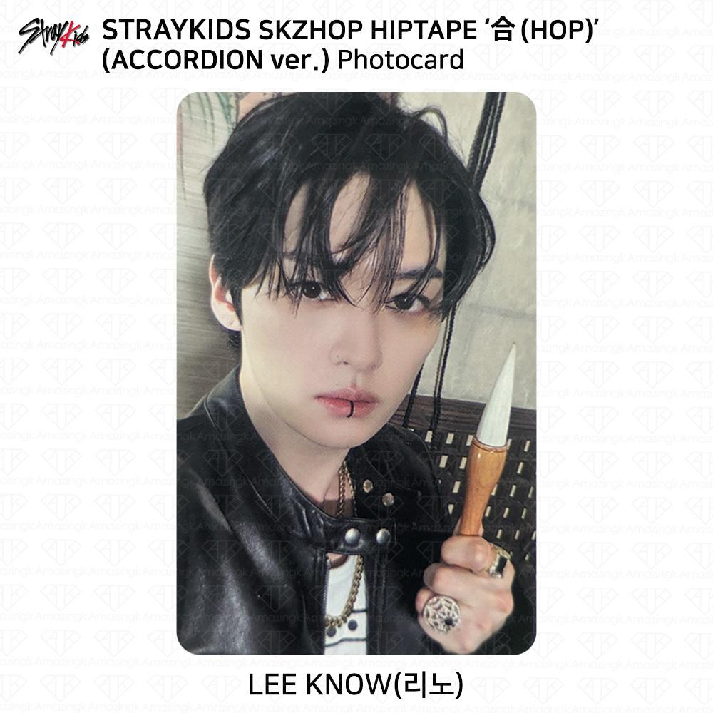 Stray Kids SKZHOP HIPTAPE HOP Аккордеон Официальная фотокарточка Unit Monochrome