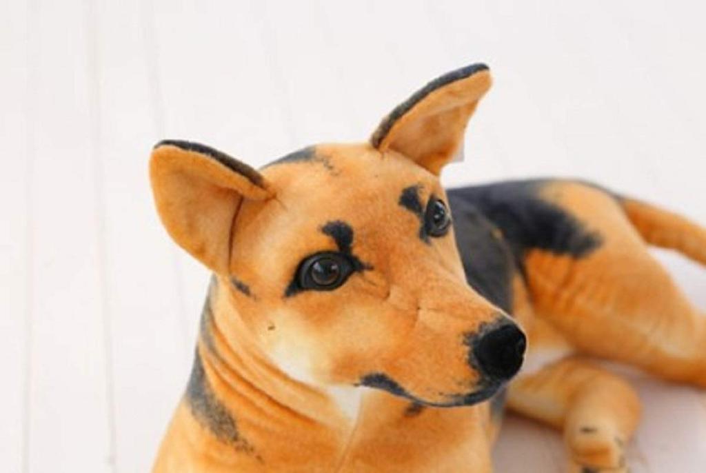 Немецкая овчарка, 60 см в длину, Собака, Декор для питомца, Свирепый и послушный пастух (Лежа)