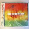 CD BIG MOUNTAIN - Things To Come PCCY01401 Canyon Internat 1999 Japan ObiReggae, Ska & Dub Used