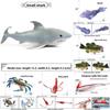 Kids Lateolabrax Japonicus Marine Life Figurine Model Toy For Learning Decor And