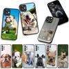 Phone Cover Pet Lovely France Bulldog Dog for Xiaomi Poco F7 F6 F8 Ultra F5 X7 X6 X5 X3 NFC M7 M6 Pro C85 C75 C65 C71 C61 Case