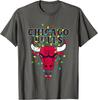 Рождественская футболка Chicago Bulls с логотипом праздника