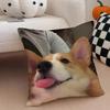 Чехол на подушку C-Corgi Льняная наволочка Мягкая Дышащая Защитная Декор Дивана Комнаты