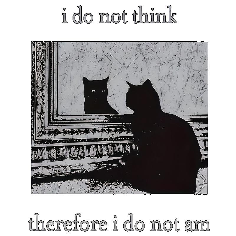 Футболка оверсайз с графическим принтом черного кота и надписью «Я не думаю, следовательно, я не существую», дизайн с текстом, повседневная уличная мода, женский летний топ