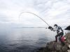 Удилище Shimano Iso Rod 20 Liarm Нет. 1 500