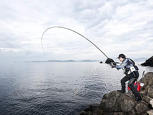 Удилище Shimano Iso Rod 20 Liarm Нет. 1 500