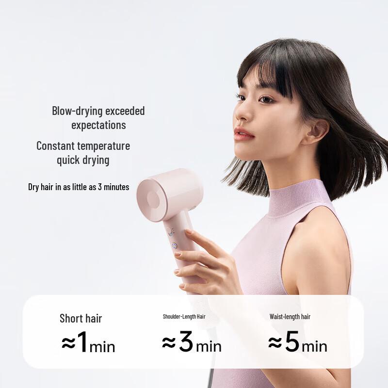 LAIFEN SE Lite High-Speed Negative Ion Hair Dryer CN plug (adapter included)