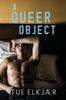 Книга A Queer Object