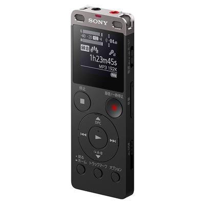 Sony Стерео IC-диктофон с FM-тюнером 4 ГБ, черный ICD-UX560F/B