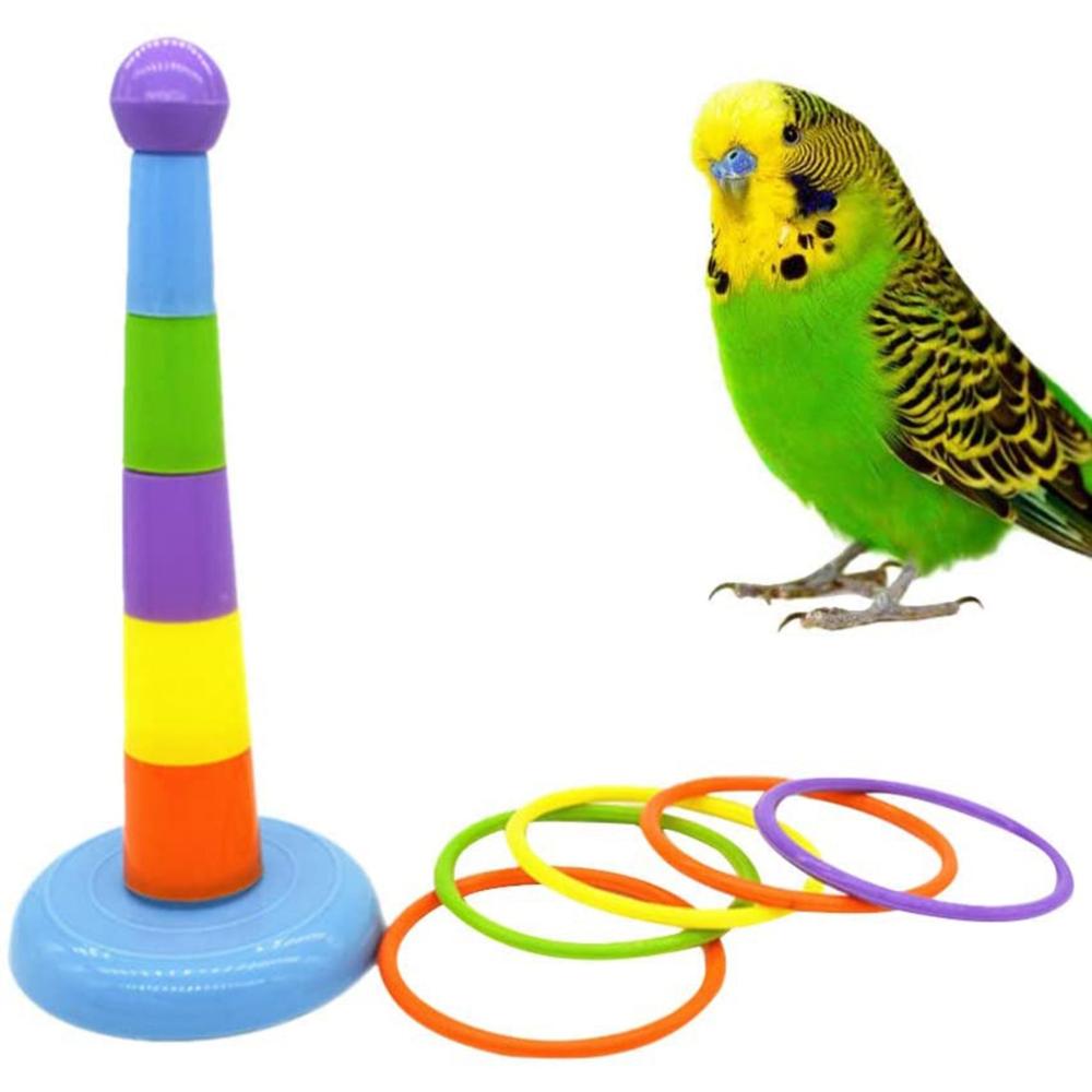Activity Playground Development Parrots Platform Colorful Rings Bird Chew Toy Ferrule Toy