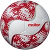 Molten Futsal