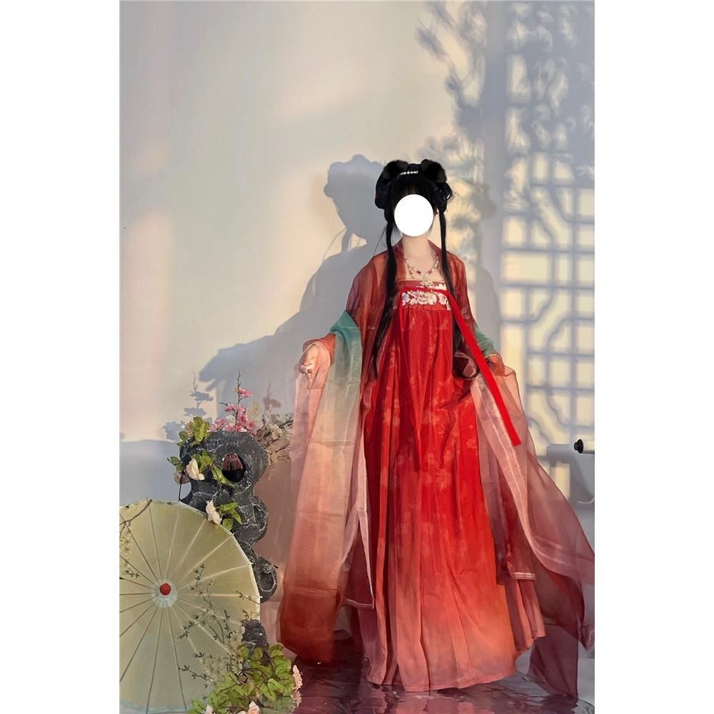 Китайский стиль династии Тан, платье HE ZI, женский костюм Hanfu, повседневный костюм с вышивкой