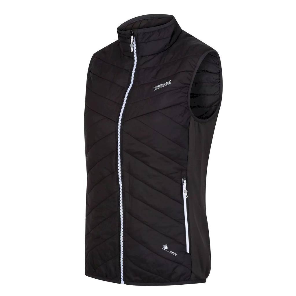 Regatta Womens/Ladies Halton V Softshell Body Warmer