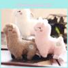 Charming Mini Alpaca Plush Doll Soft White Lamb Keychain Bag Accessory