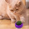 Catnip Ball 360-Degree Rotatable Self Adhesive Wall-Mounted Eco-friendly Spinning Catnip Ball Toy Pet Accessories