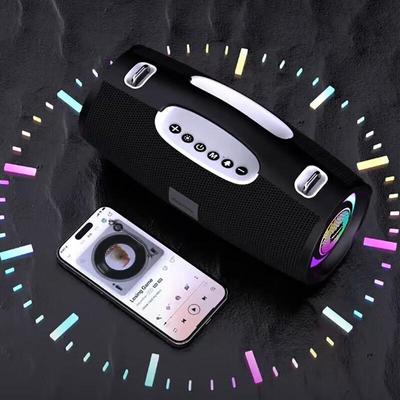 Newman BT100 Уличный Bluetooth-динамик KTV Штепсель CN (адаптер в комплекте)