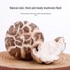 Guangwang Rongxin Premium Lushi Flower Mushrooms