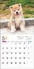 Календарь 2024 Акита-ину (Календарь Seibundo Shinkosha)