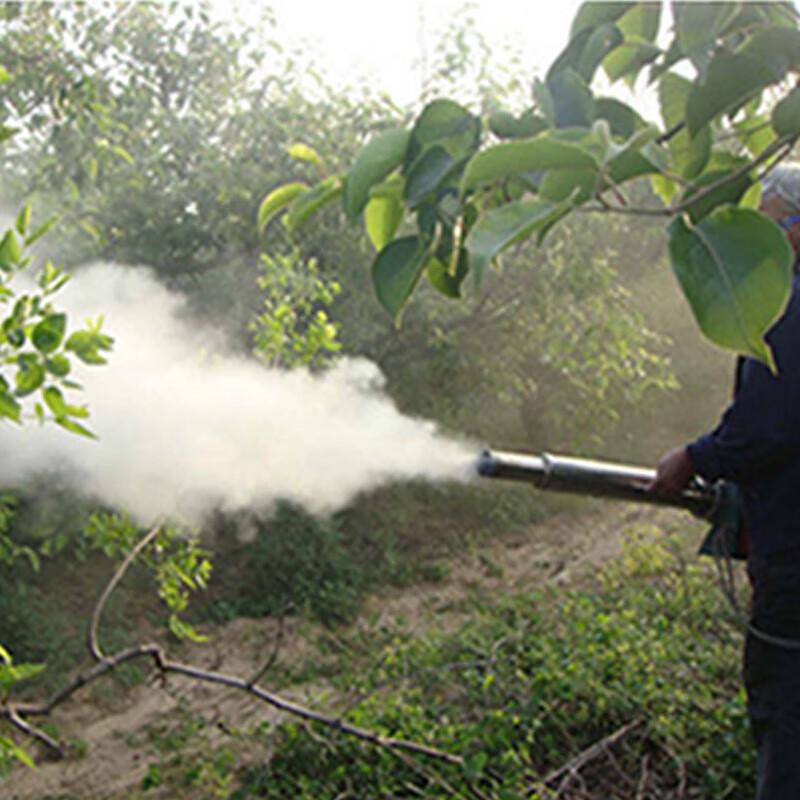 Бензиновый импульсный дезинфекционный туманообразователь Yangshi