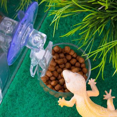 Миска для воды и корма для рептилий, присоска, кормушка, лоток для корма, геккон, рептилия, ящерицы, паук, древесные лягушки, украшение для террариума, зоотовары
