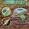 Plant Cloche Reusable Propagation Cover Transparent Garden Bell Plant Hat for Plant Frost Protection Snail Protection
