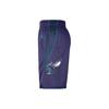 Air Jordan Charlotte Hornets NBA Shorts 'Purple' Men's DO9425-566