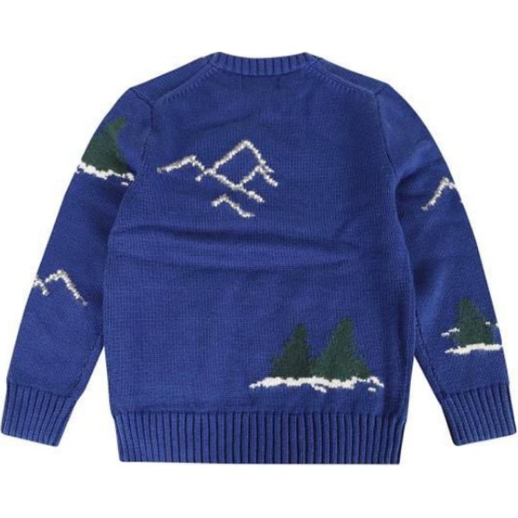 Детский свитер Polo Ralph Lauren с узором вышивки медведя, пуловер с круглым вырезом и длинными рукавами, детский свитер, синий 323951422-001