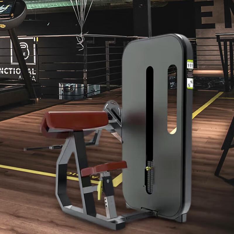 Wing of Power Commercial Bicep Curl Preacher Bench